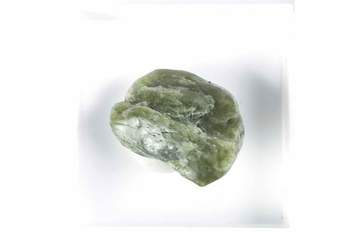 Tumbled Green Jade (Nephrite) Stone - California #380140